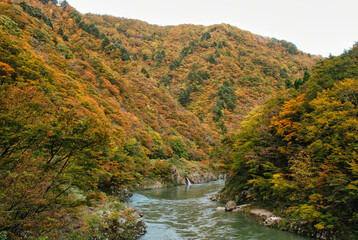 Japanese scenery - waterfall in autumn