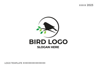 Bird logo Design Vector Template. Bird icon vector concept