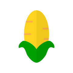 Modern corn icon. Maize. Vector.