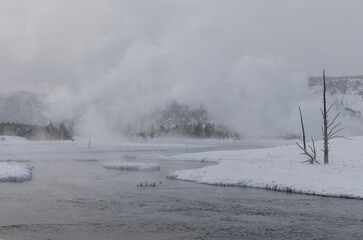 Scenic Winter Landscape in yellowstone National Park Wyoming