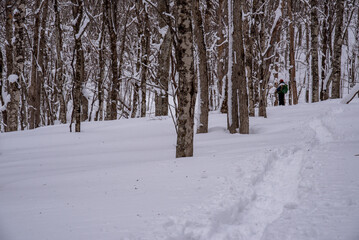 スノーシューで雪山を登る男性