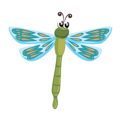 cute dragonfly insect animal