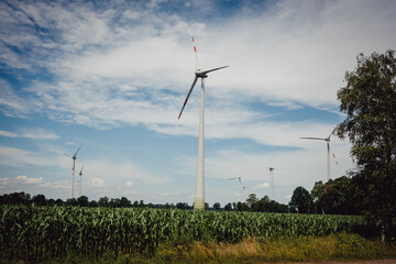 Windkraftanlage auf einem Maisfeld in Niedersachsen