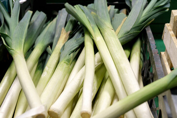 Freshly lifted leeks, allium ampeloprasum, variety Musselburgh, in a grocery hypermarket