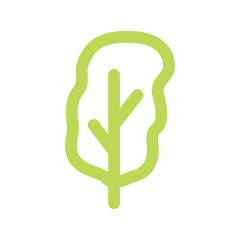 Obraz premium 상추