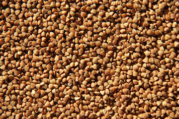 Buckwheat  closeup with selective focus.