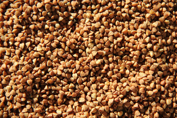 Buckwheat  closeup with selective focus.