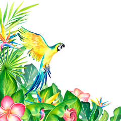 Macaw parrot in the tropical jungle. Monstera. Palm branch. Plumeria. Tropical composition. watercolor illustration on an isolated background.