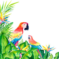 A tropical composition of palm branches and a red Macaw parrot. Watercolor illustration. Exotic birds. Monstera. Banana leaves.