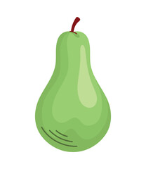 fresh avocado vegetable