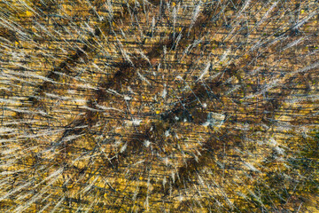 Drone view of a dead forest. Landscape from the air on an autumn forest. Landscape with soft light before sunset. Wallaper and background. The result of the forest fires. A view from a drone.