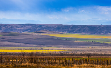 Landscape of beautiful green Alazani Valley in Kakheti region, Georgia