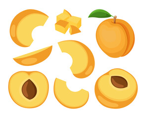 Fruit apricot isolated on white background