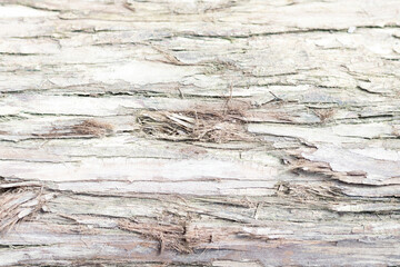 Naklejka na ściany i meble old wood texture