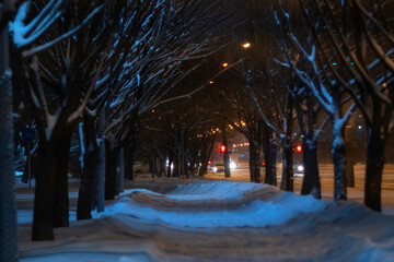Winter night landscape of snow covered snow trees and shining lights during the snowfall. Beauty world. Selective focus