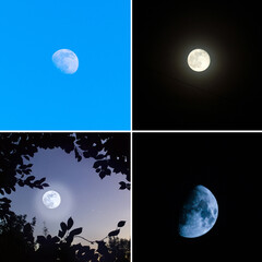 Collage of the moon different photos, square photo. All the photos used belong to me
