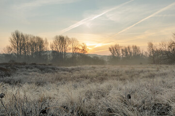 Misty winter dune landscape at sunrise