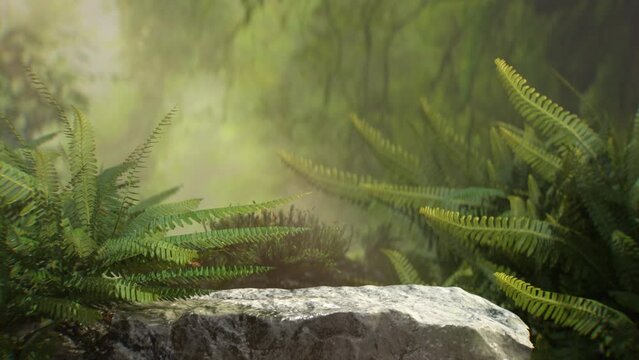 3D rendering podium stand with big rock in the jungle and tree animation.Natural 3D podium background conceptual for product.