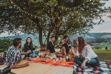 Group of happy friends having fun at the picnic barbecue in a countryside area, celebrating, eating grilled food and drinking tasty wine