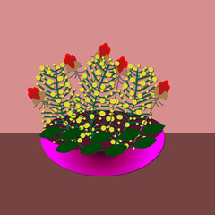 Flowers in a vase.Mimosa