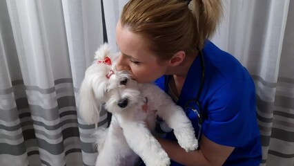 Female vet kissing cute maltese dog at veterinarian clinic. Veterinary, pet care concept