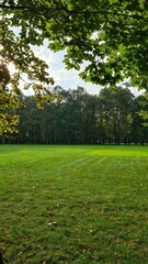 Green park in the center of the city