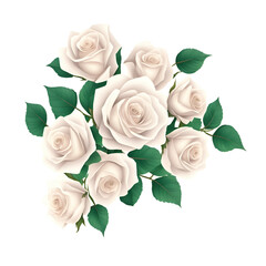 bouquet of roses isolated on white background - white roses on white background - white flowers - Generative AI