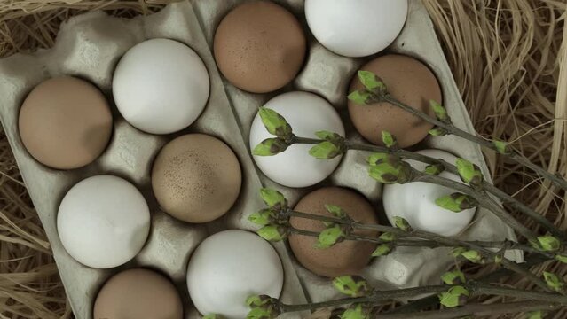 Easter eggs. Chicken eggs, twigs with green leaves and feathers on the hay. Easter holiday concept background rotating