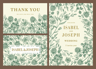 Fototapeta premium Clover Linum Flax isolated floral. Thank You. Wedding invitation baroque Frame. Beautiful blooming realistic flowers. Vintage greeting card. Drawing engraving. Wallpaper Vector victorian illustration