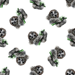 Seamless pattern of hand drawn sketch style Sloths isolated on the white background. Vector illustration. - 573286335