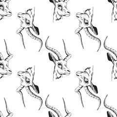 Seamless pattern of hand drawn sketch style Gazelle. Vector illustration.