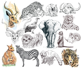 Big set of hand drawn sketch style animals isolated on white background. Vector illustration. - 573286379
