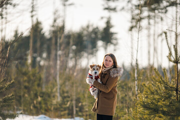 A girl in a coat holds a Jack Russell Terrier dog in her arms in a winter spruce forest on the...