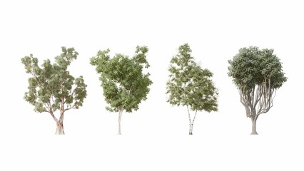 Fototapeta na wymiar Set of 3D birch-trees and bushes isolated on white background , Use for visualization in graphic design
