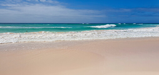 Fototapeta na wymiar Maxwell beach Barbados, turquoise sea, white sand and palm trees