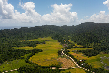 Farmland with growing crops of rice, vegetables and sugar cane in a mountain valley. Philippines.