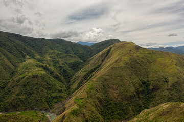 Green rainforest and jungle in the mountains of Philippines view from above.