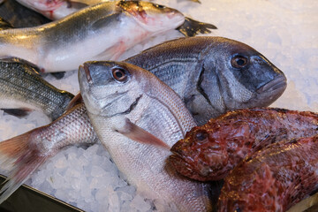 Fresh saltwater fish on ice at the market