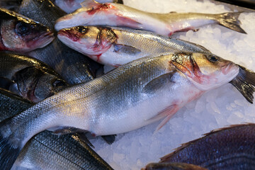 Fresh saltwater fish on ice at the market
