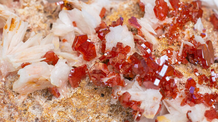 Lustrous blood-red vanadinite crystals on the snow-white bladed baryte matrix