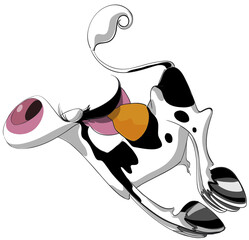 Ternero holstein o frisón feliz, saltando en libertad. Vacas felices.