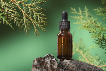 Glass dropper bottle with cosmetic oil, essential or serum on green background with thuja branches....