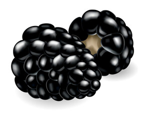 Fresh, sweet and tasty blackberry. Sweet fruit. Forest berry. 3d icon. Realistic illustration of eco food isolated on white