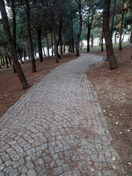 CobbleStone road for Creative Ideas
