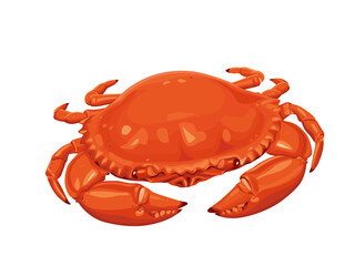 red crab on white