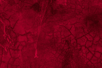 Old wall texture cement black red  background abstract dark color design are light with white gradient background.