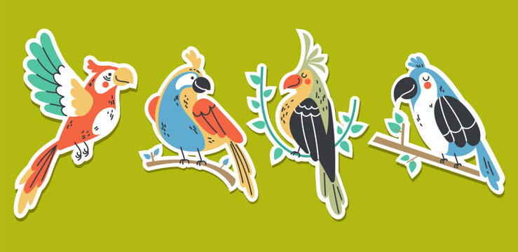 Bird parrot tropical animal summer style stickers concept set. Graphic design vector illustration
