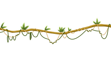 Lianas stem border. Rainforest green vine or twisted plant hanging on branch. Cartoon jungle creeper, leaves or moss on tree. isolated game scenery element. Tropical nature plant