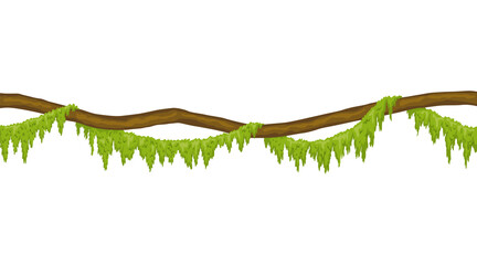 Lianas stem border. Rainforest green vine or twisted plant hanging on branch. Cartoon jungle creeper, leaves or moss on tree. isolated game scenery element. Tropical nature plant © the8monkey