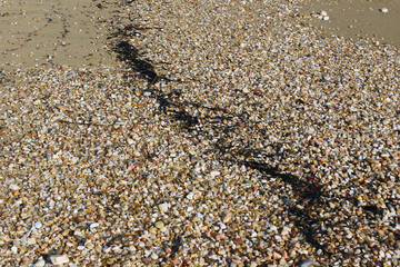 du sable, graviers et algues séches